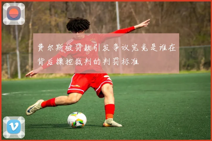 费尔斯被罚款引发争议究竟是谁在背后操控裁判的判罚标准