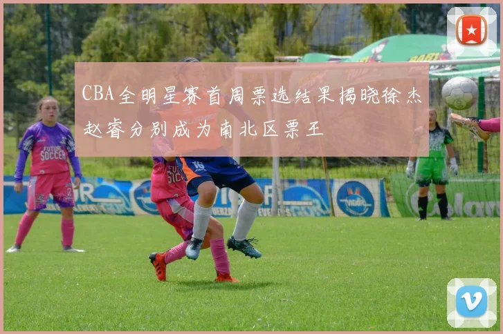 CBA全明星赛首周票选结果揭晓徐杰赵睿分别成为南北区票王